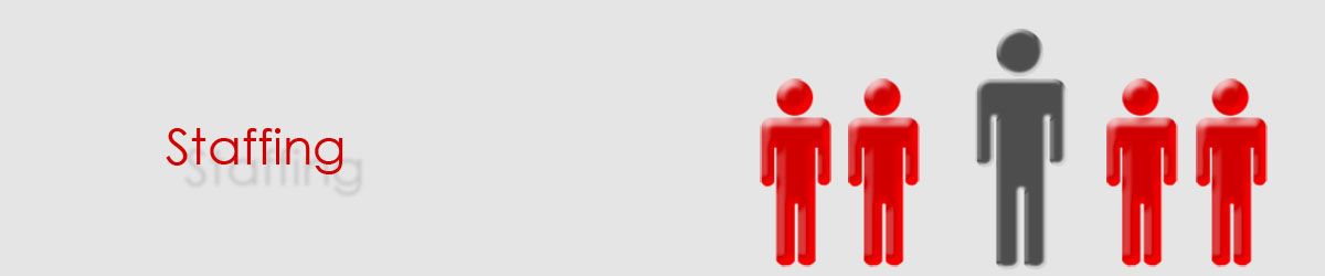 Staffing, Consulting, Consultance